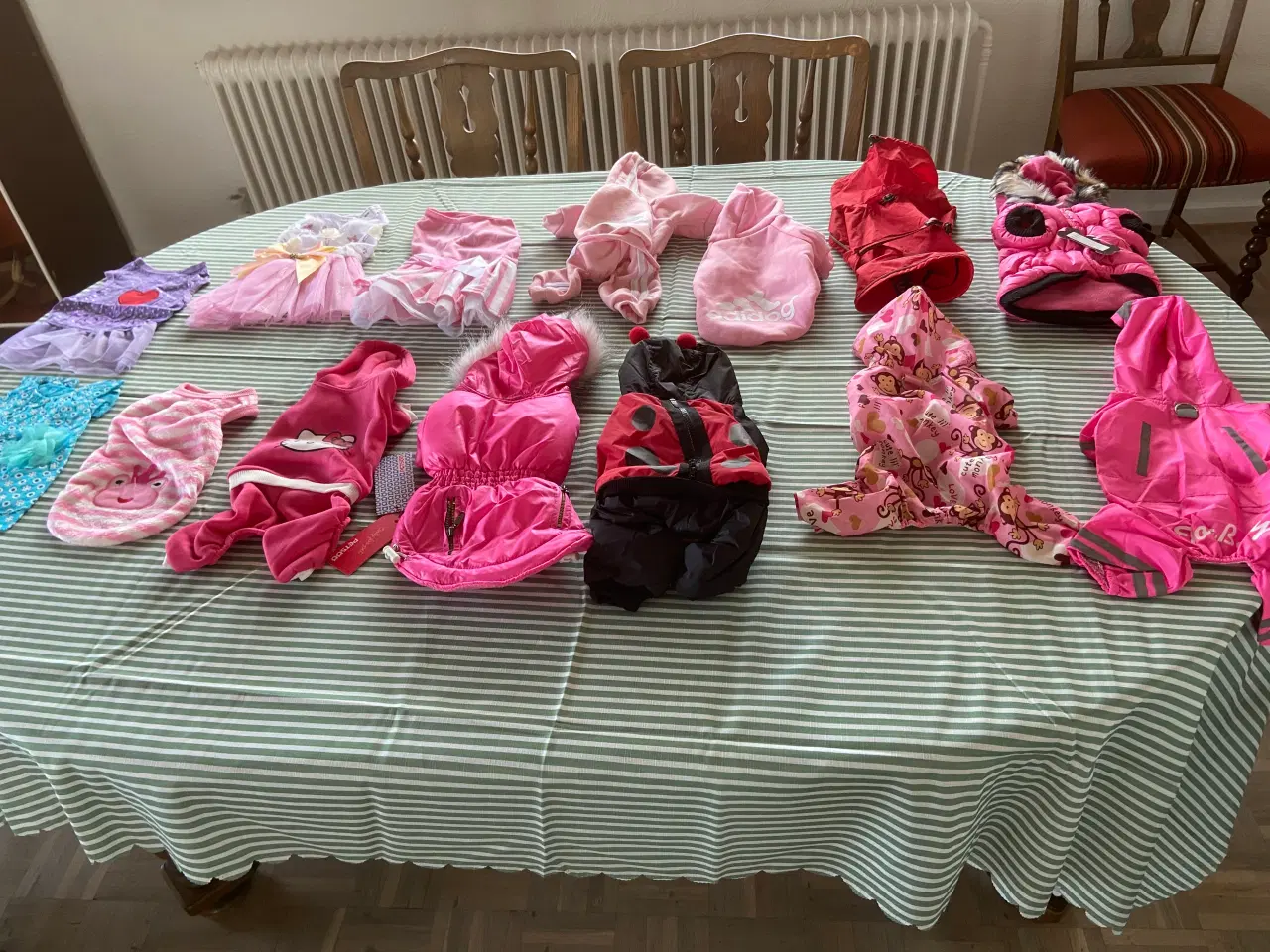 Billede 2 - Sælges hundetøj til hund som vejer 2~3 kg