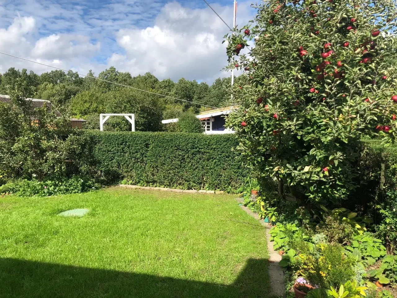 Billede 10 - Hyggeligt og veludnyttet kolonihavehus i Grønløkke