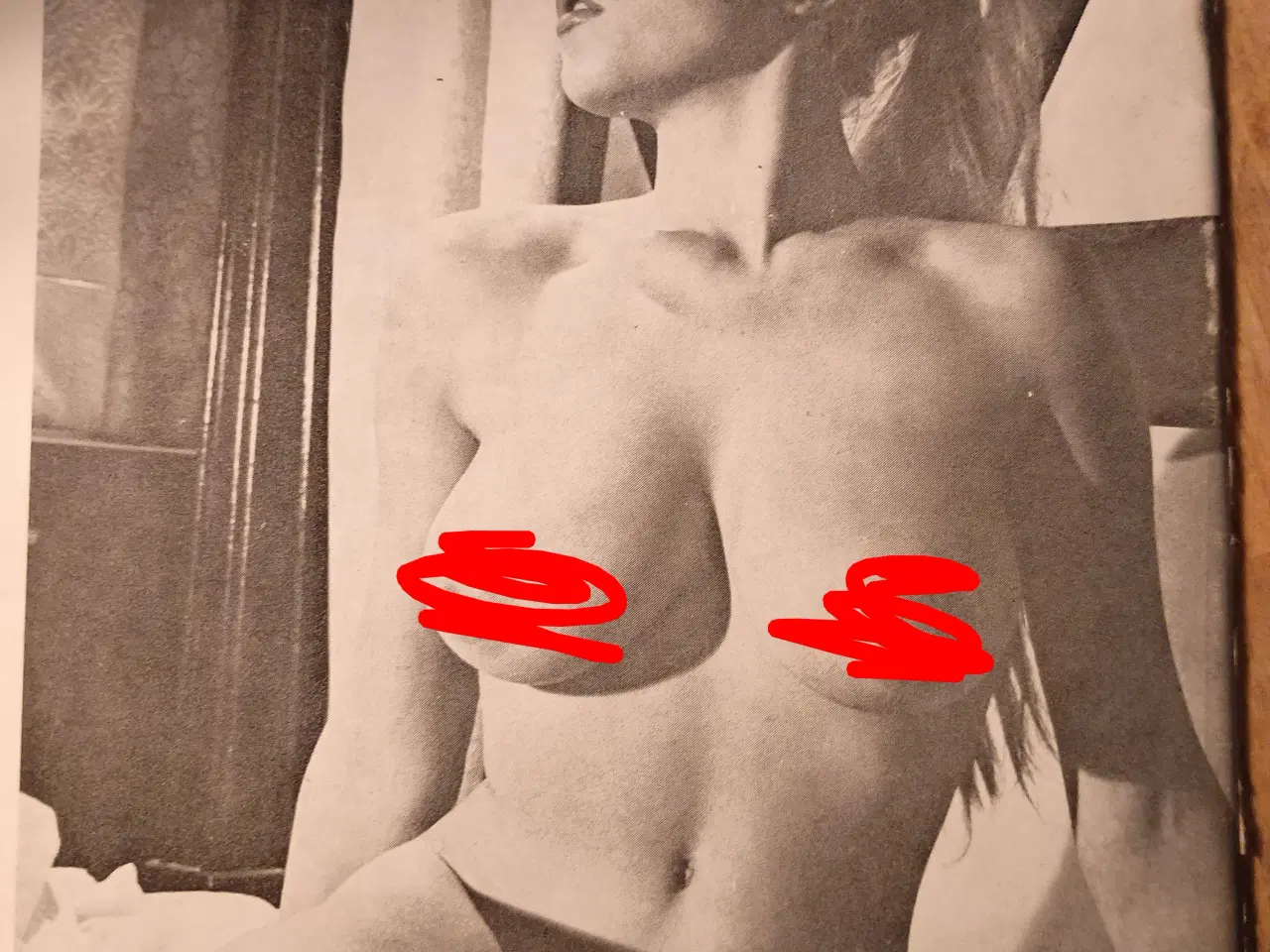 Billede 2 - Strip Tease magasin.