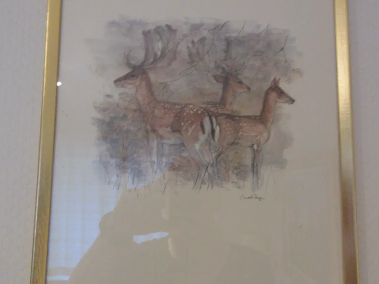 Billede 1 - Mads Stage dyre billeder