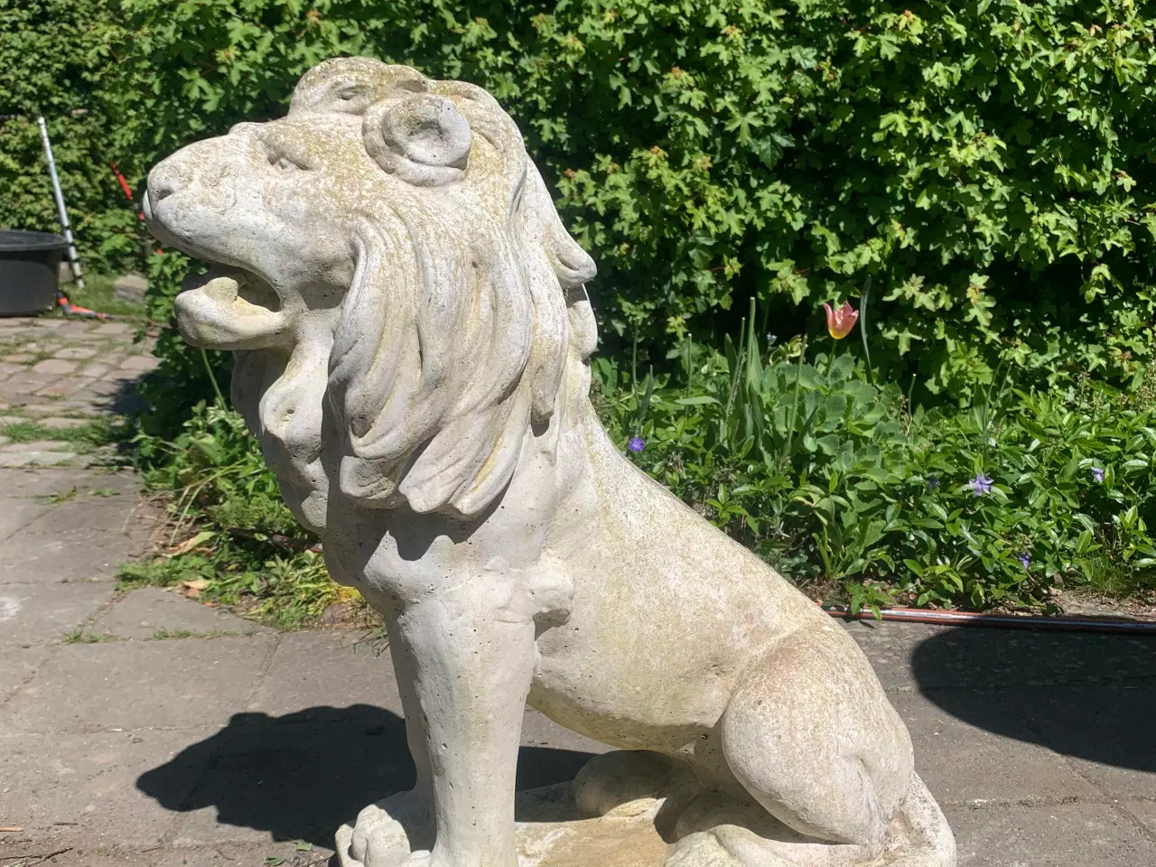 Billede 1 - Løve Statue