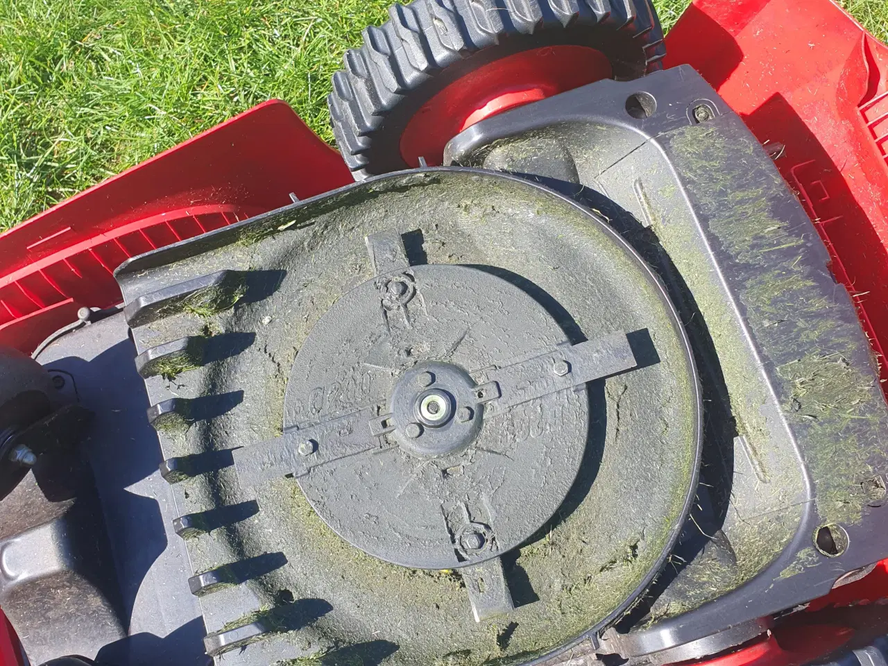Billede 3 - AL-KO Robolinho Solo 450 W