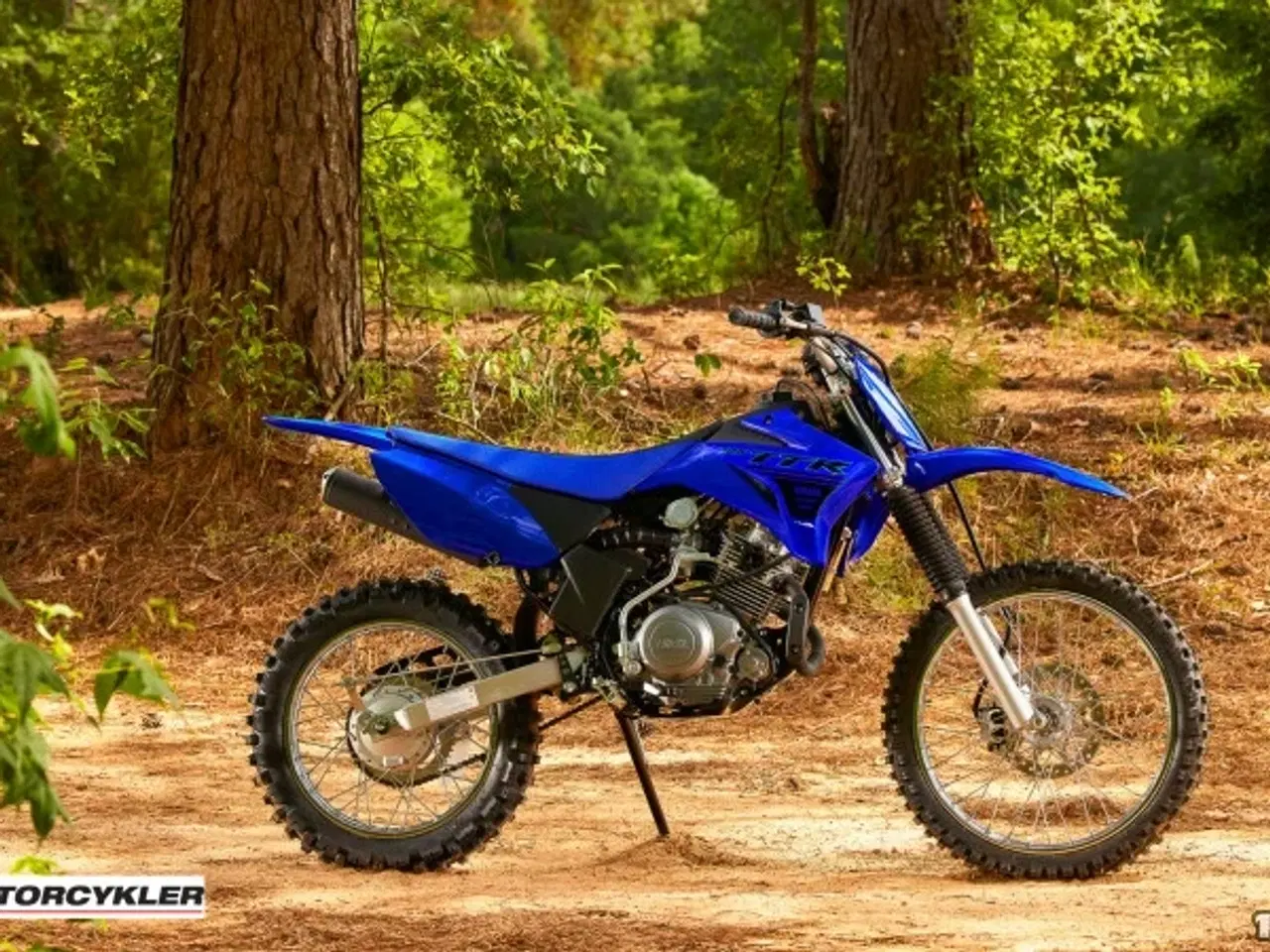 Billede 14 - Yamaha TTR 125
