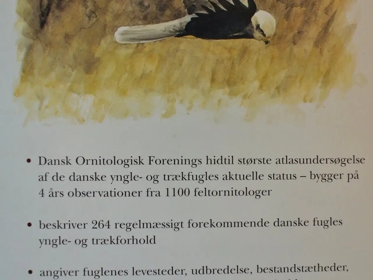 Billede 4 - fuglenes danmark, af michael borch grell. ill. af 