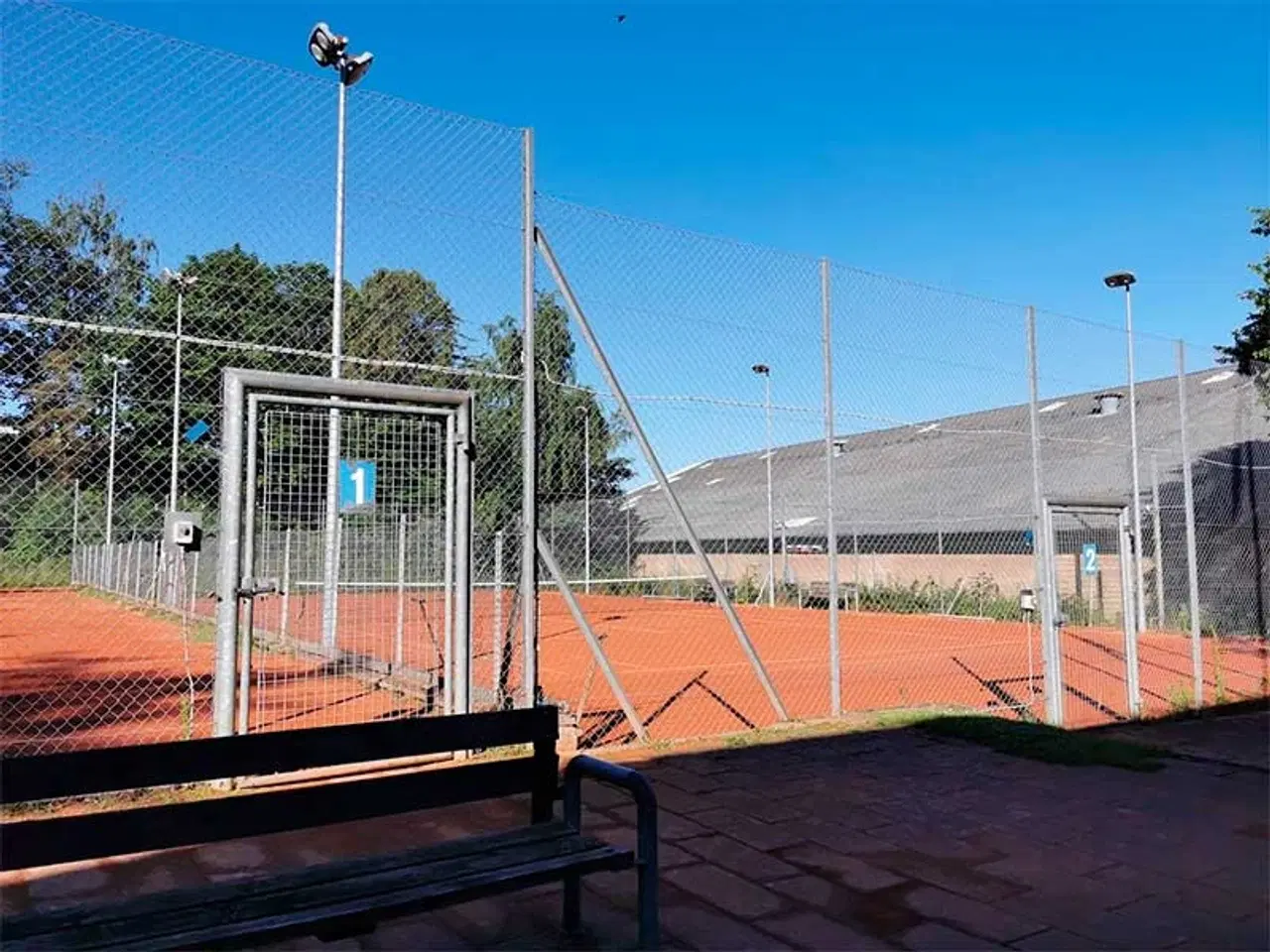 Billede 11 - Tenniskursus for begyndere!! Vejgaard. Øgade.
