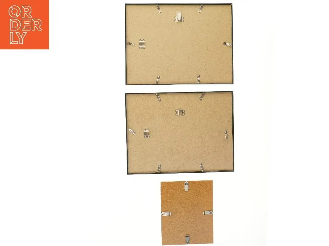 Billede 2 - Sæt af insektprint i rammer (str. 41x31 cm)