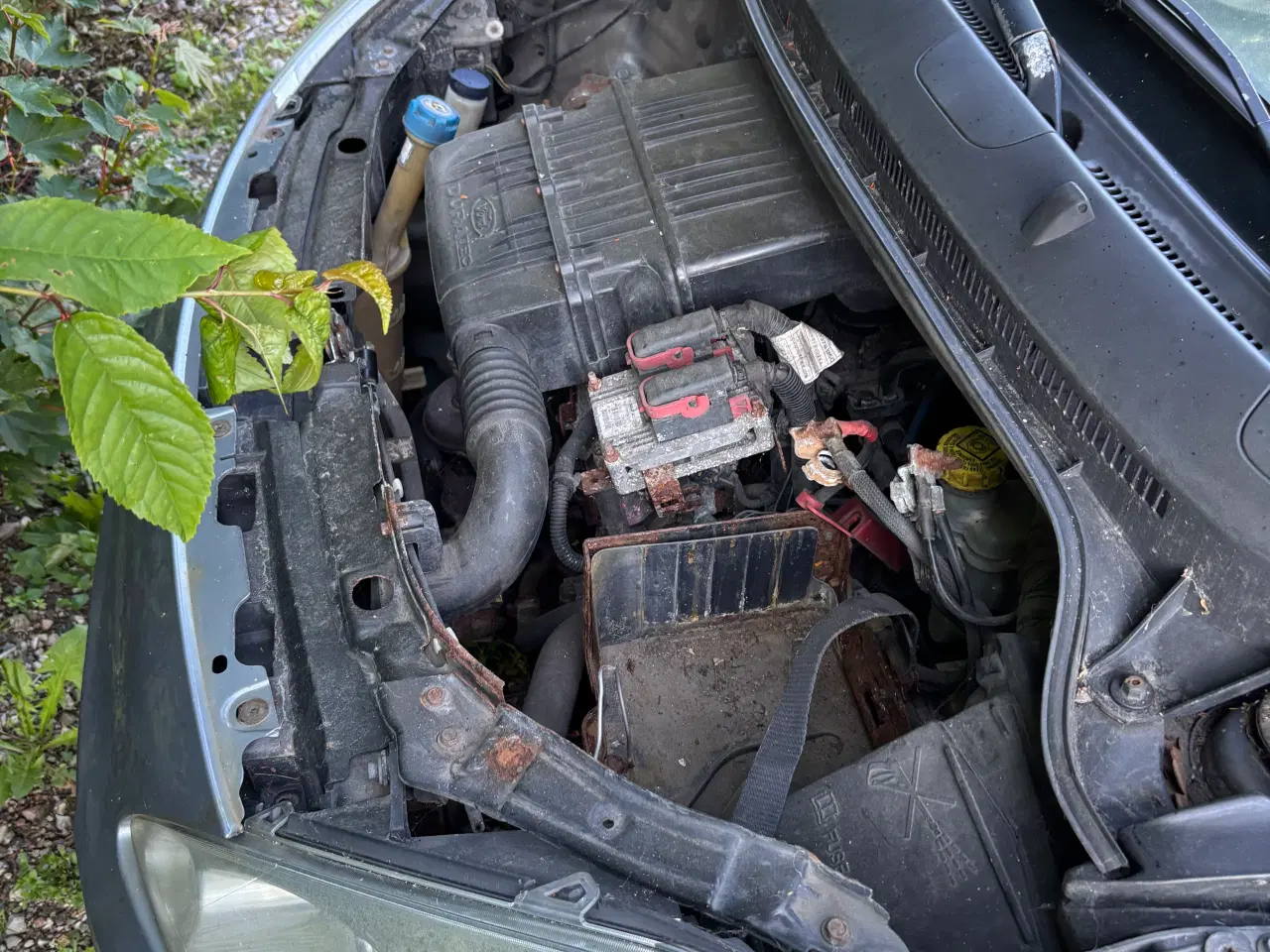 Billede 7 - Ford ka