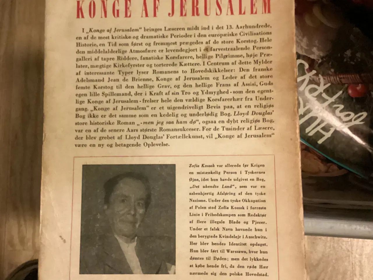 Billede 3 - En bog af Zofia Kossak