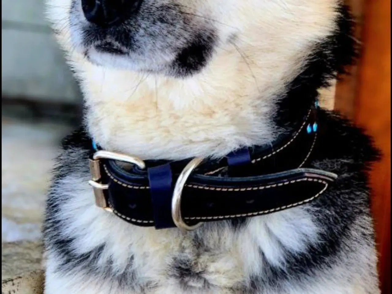 Billede 3 - Smukke Athos