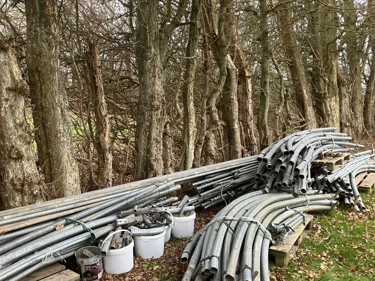 Billede 9 - Tunneldrivhus