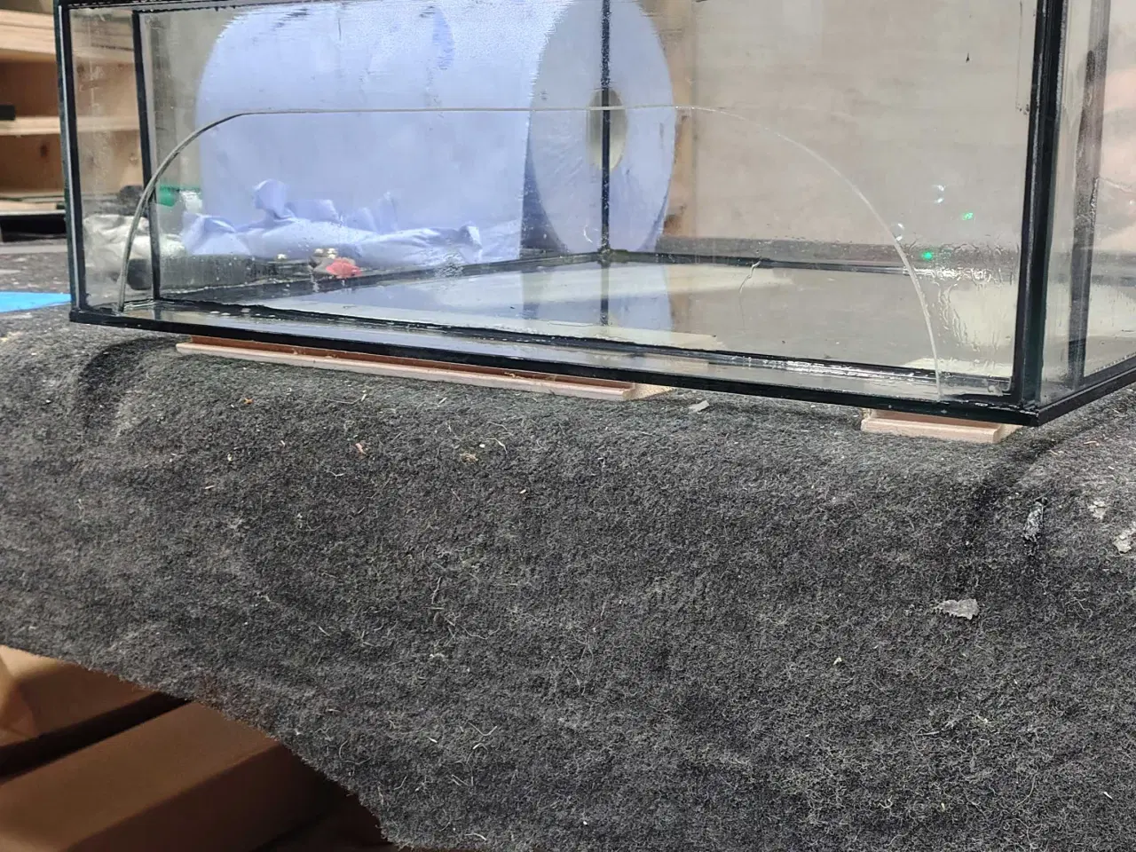 Billede 4 - Glas Terrarier