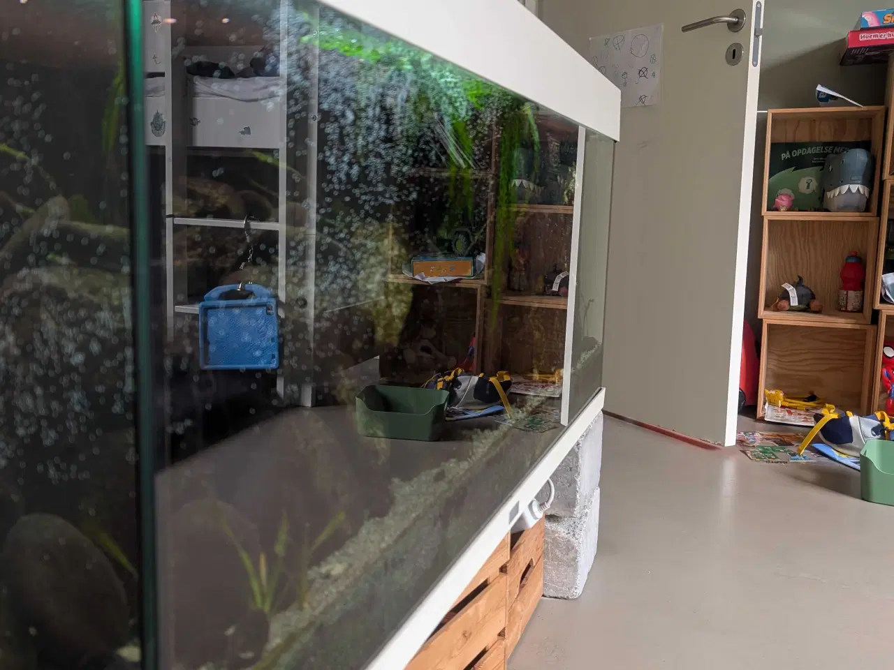 Billede 4 - 240l Juwel Rio akvarie