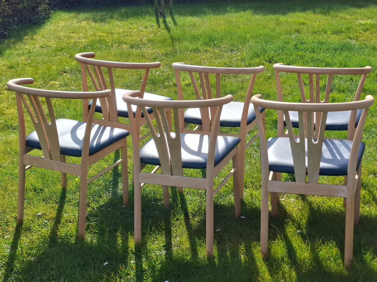 Billede 3 - 6 stk flotte "Vega" spisebordsstole 