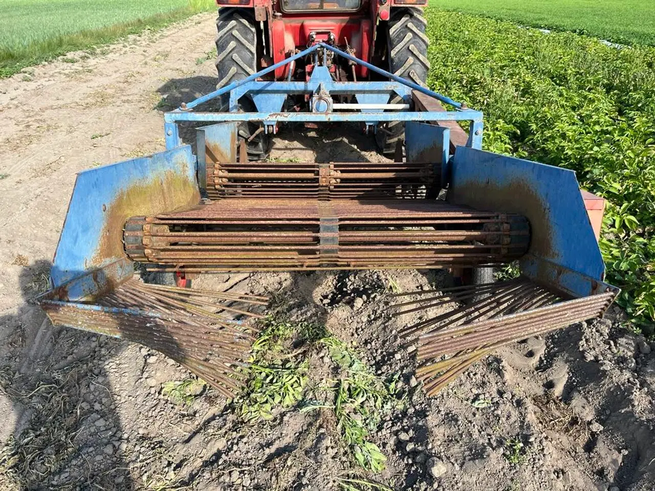 Billede 6 - Kartoffeloptager