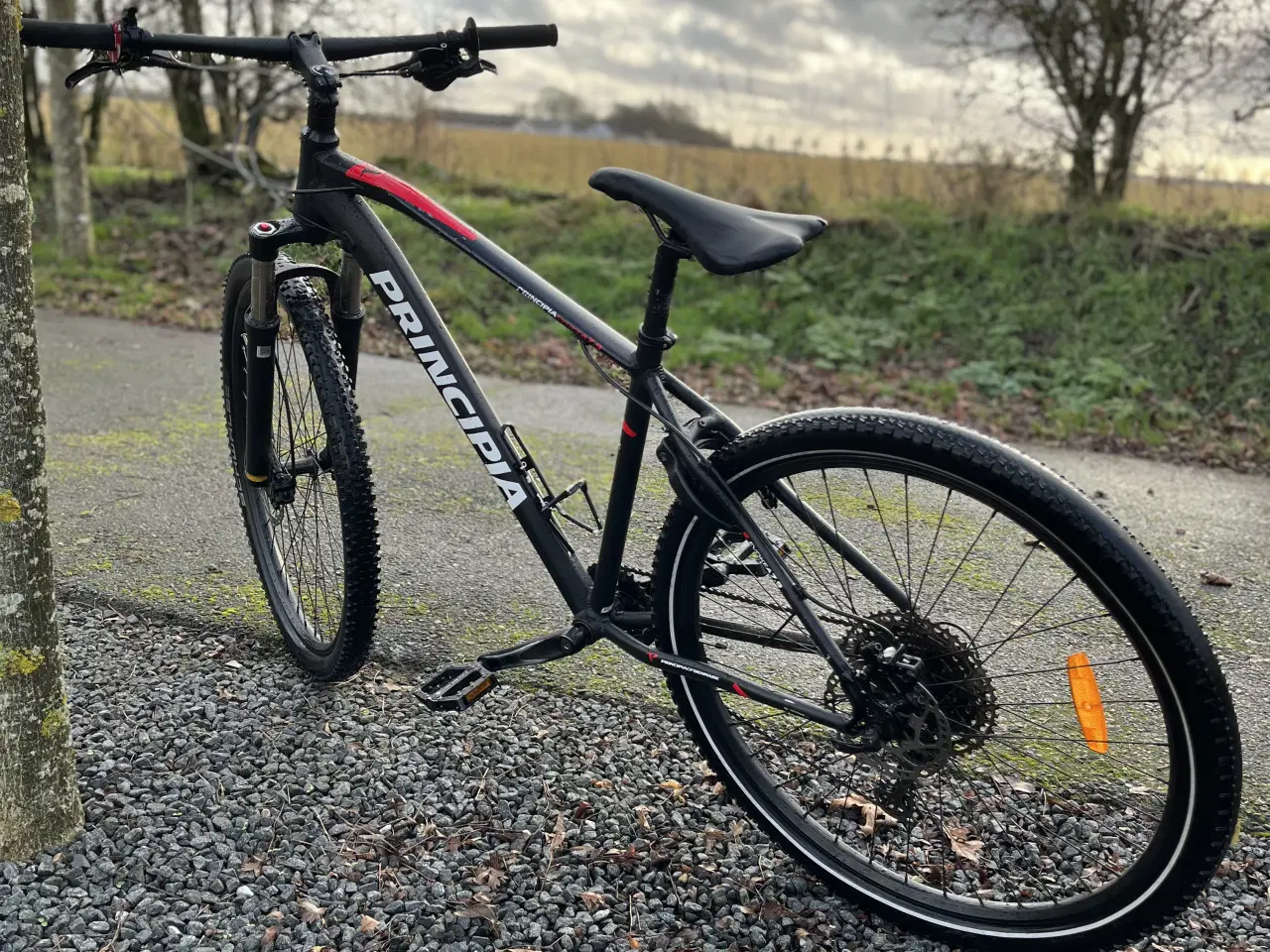 Billede 4 - Principia mountainbike 