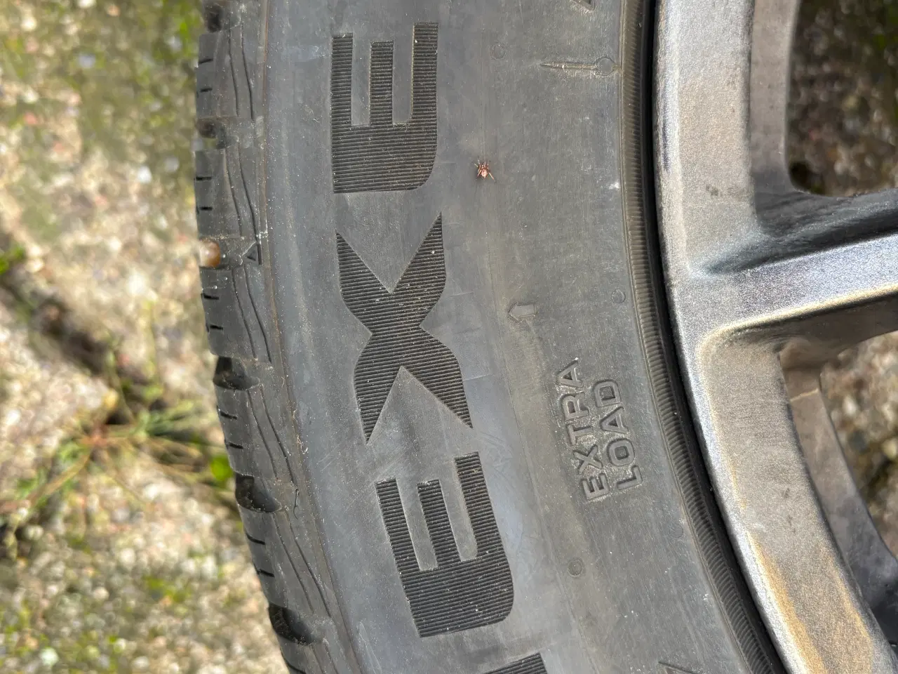 Billede 4 - Vinterdæk på alufælge