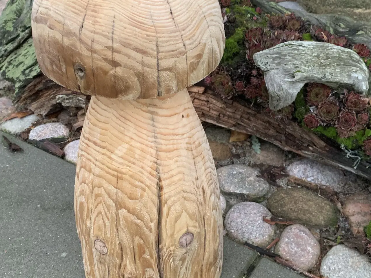 Billede 3 - PADDEHAT / TRÆSVAMP - Ny pris