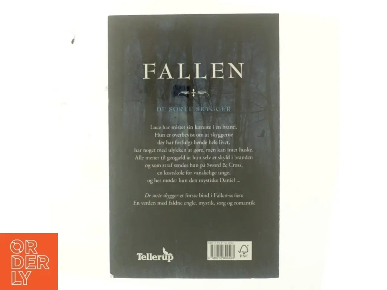 Billede 3 - Fallen af Lauren Kate (Bog)