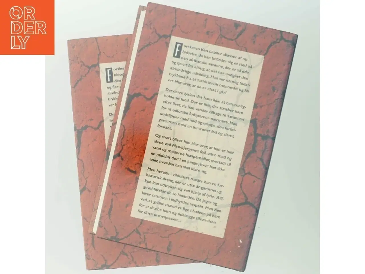 Billede 3 - Et aftryk fra fortiden af Petru Popescu