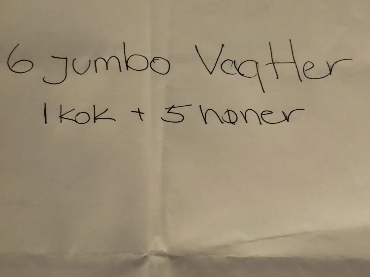 Billede 1 - 6 Jumbo vagtler