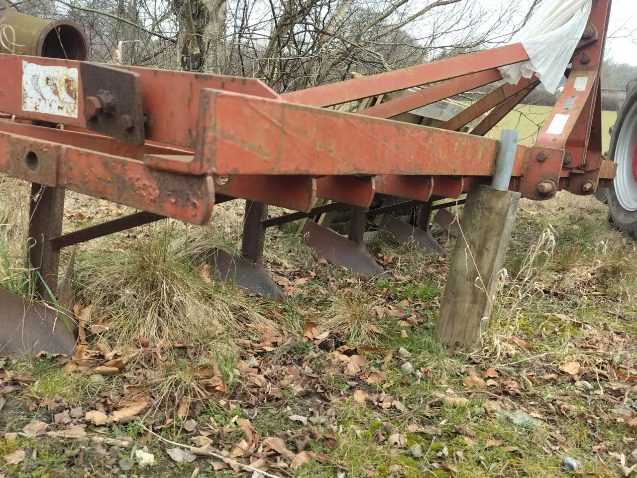 Billede 2 - 4 RK Kartoffel hypper 