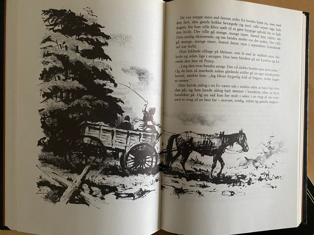 Billede 3 - Borte med blæsten- Margaret Mitchell-4 bind