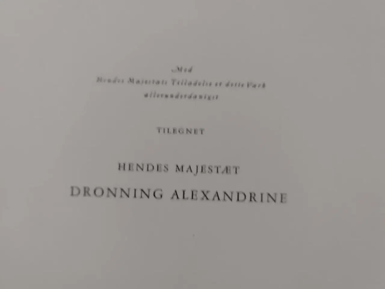 Billede 2 - Dansk Husmoder Leksikon