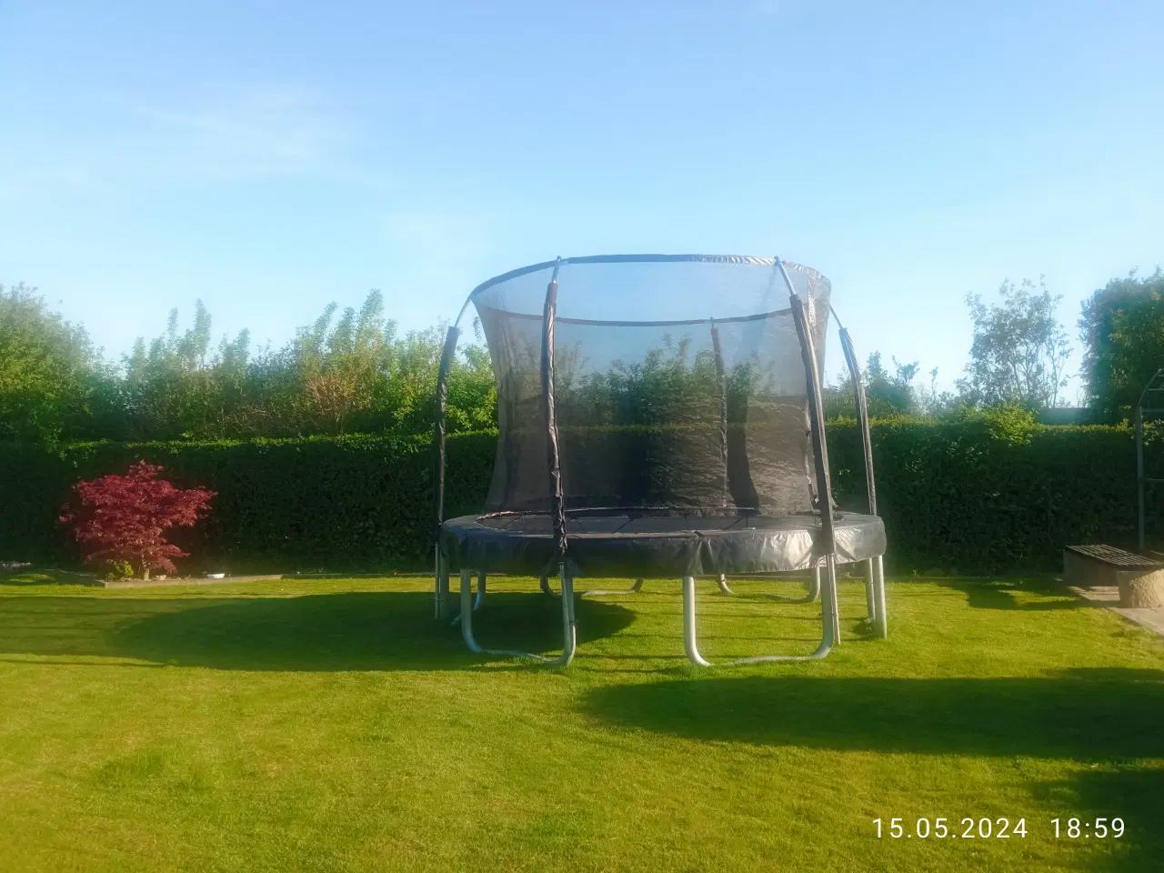 Billede 3 -  Semi professionel trampolin 