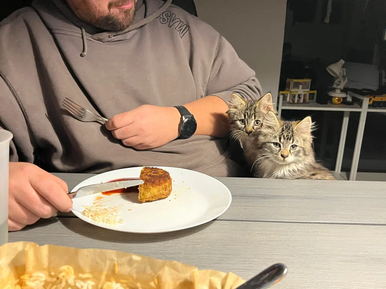 Billede 8 - Langhåret hun Maine Coon-blanding