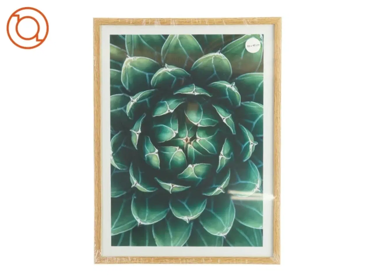 Billede 1 - Billedramme (str. 40 x 30 cm)