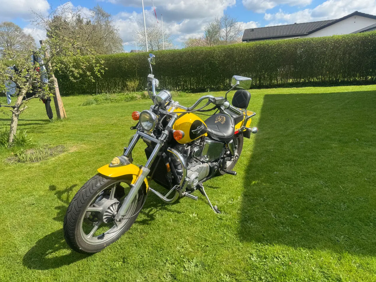 Billede 9 - Honda VT 1100 ace