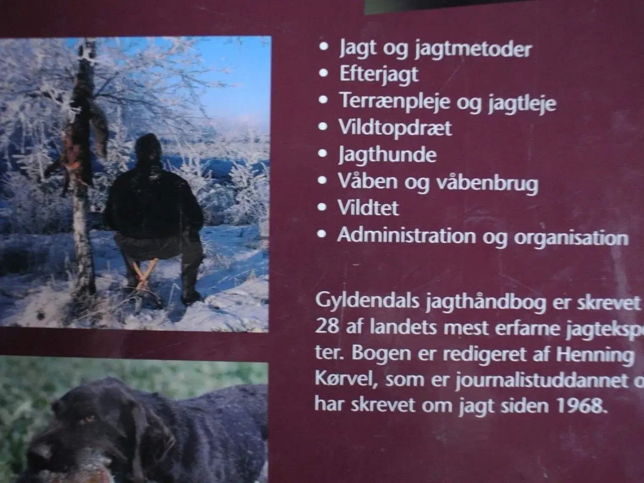 Billede 3 - gyldendals jagthåndbog, red. af henning kørvel