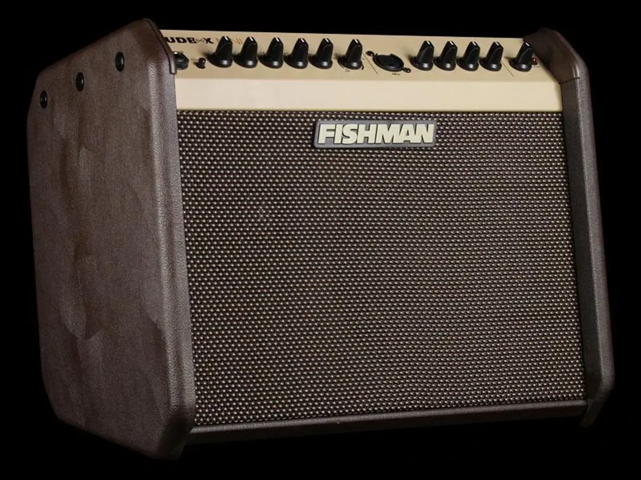 Billede 1 - Fishman LoudBox Mini