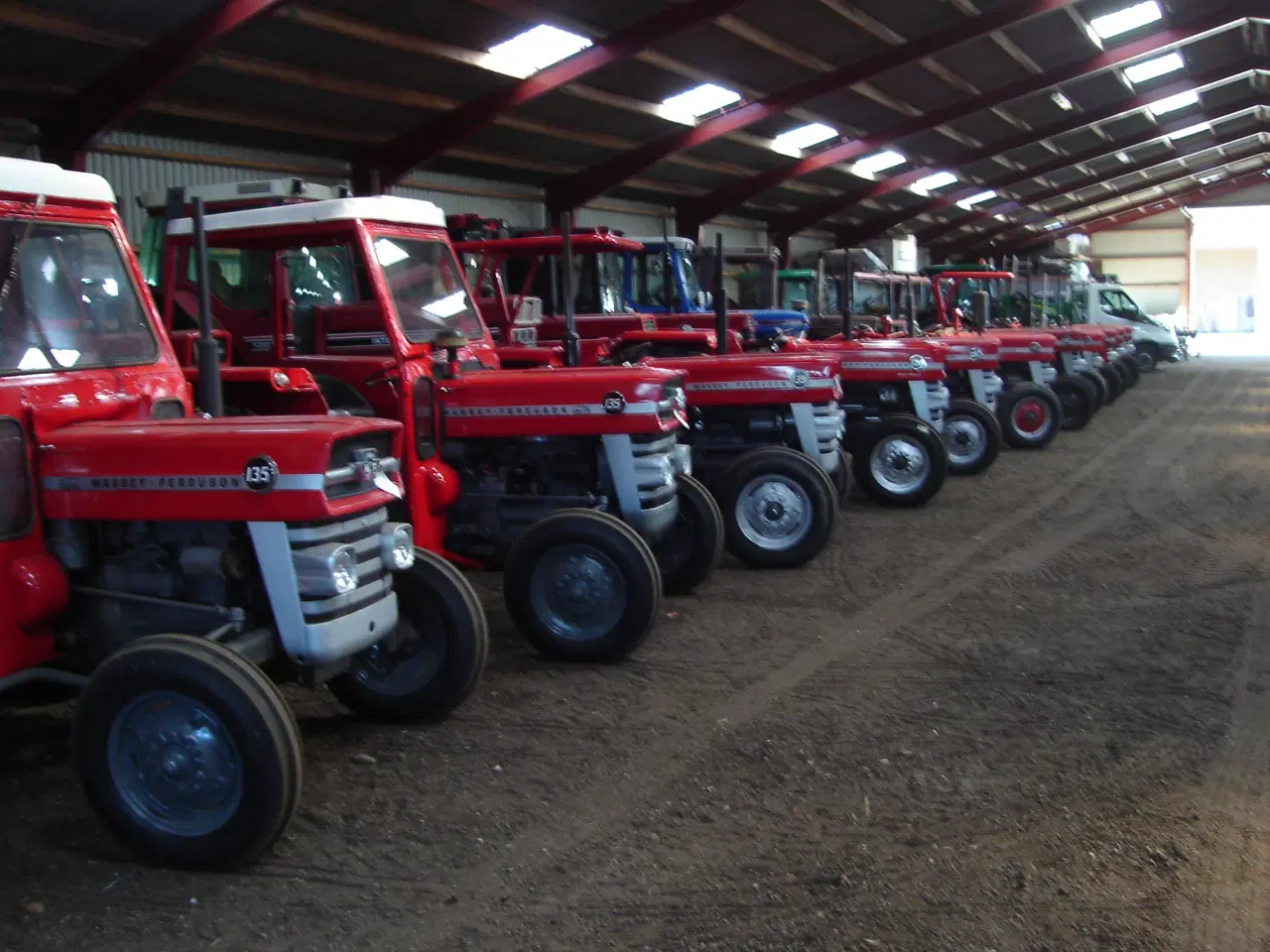 Billede 11 - Ferguson 31 Benzin