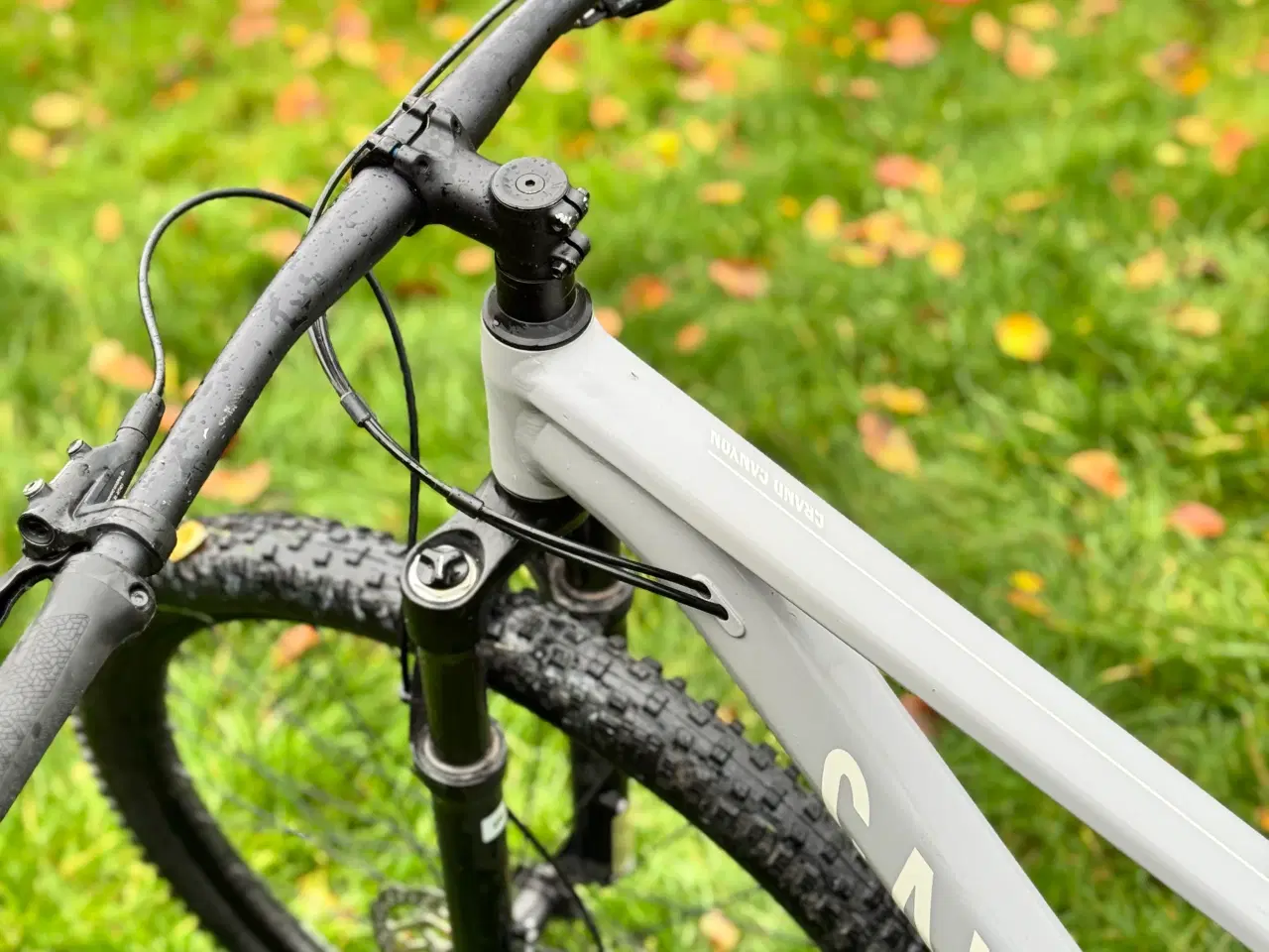 Billede 6 - Grand Canyon AL 6 str S