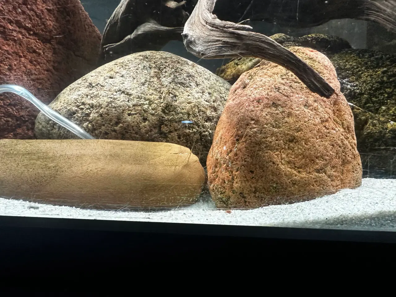 Billede 18 - Malawi og andet