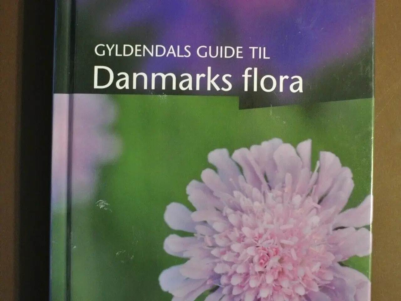 Billede 1 - gyldendals guide til danmarks flora, af dorte k. r