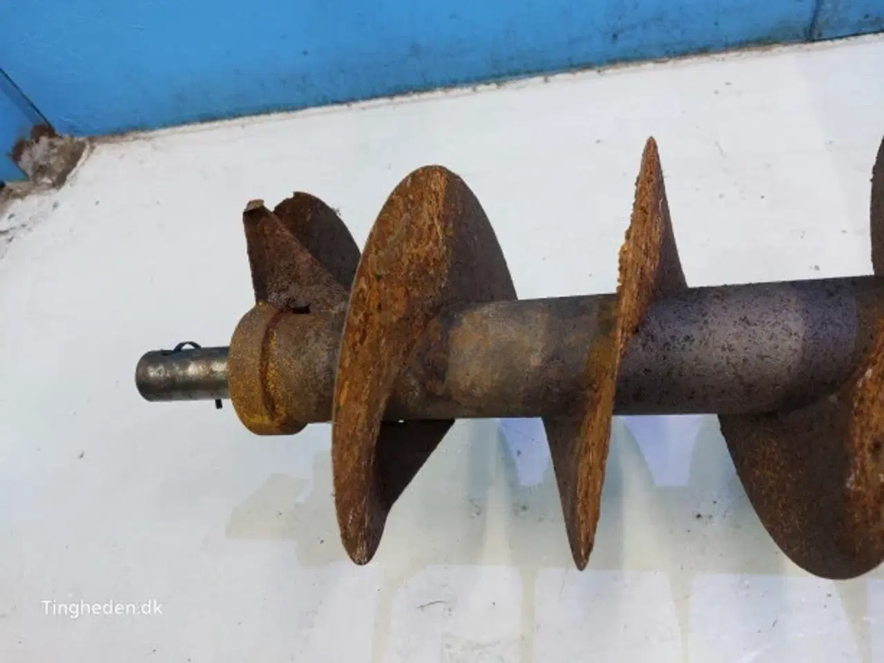 Billede 16 - Massey Ferguson 7278 Frøsnegl 28885556