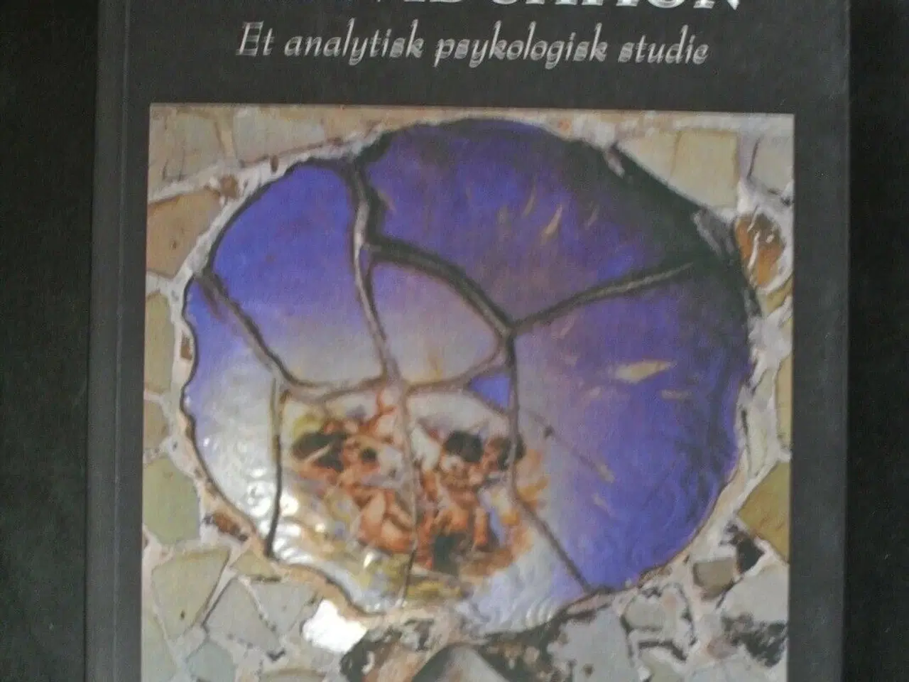 Billede 1 - drømme og individuation - et analytisk psykologisk