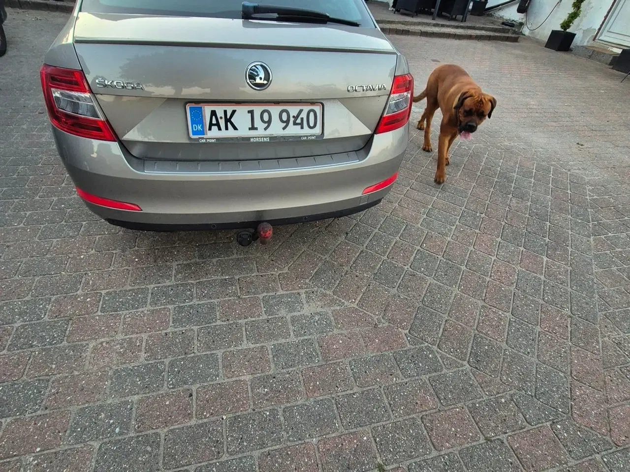 Billede 3 - Skoda Octavia 1,8 TSi 180 Elegance DSG