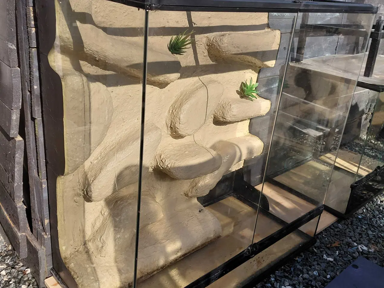 Billede 4 - Terrarium 