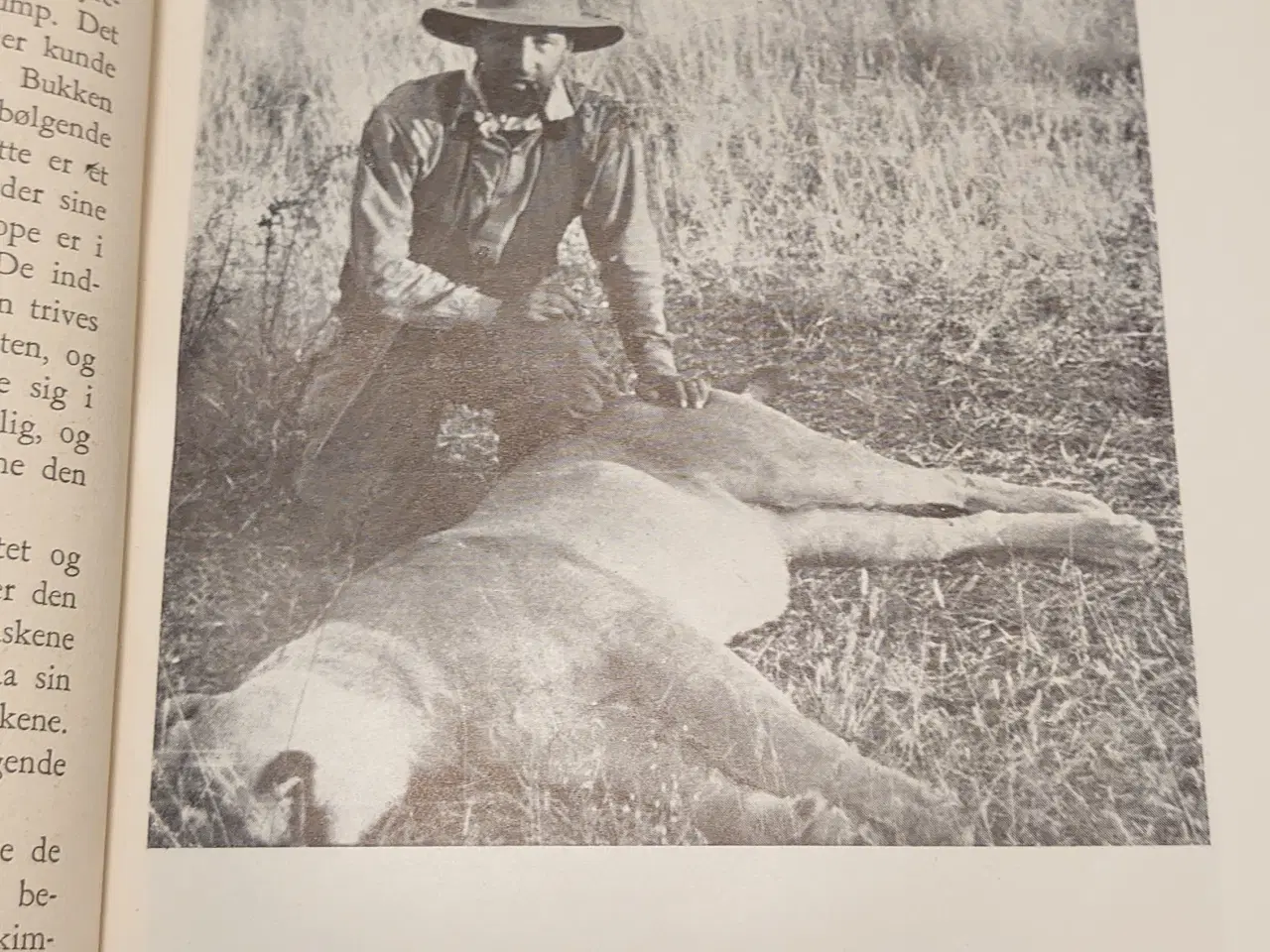 Billede 4 - J.G.Ræder: Vilde dyr og sorte mennesker. 1946