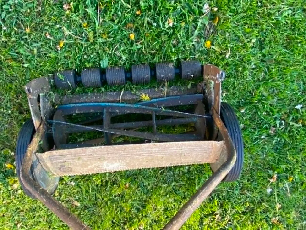 Billede 2 - Cylinderklipper