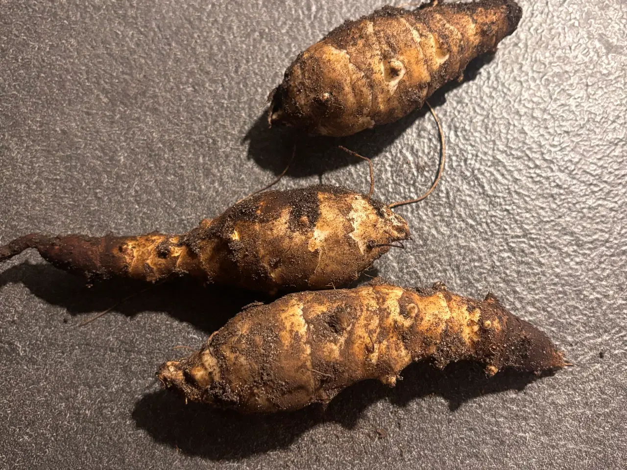 Billede 1 - Økologiske jordskokker