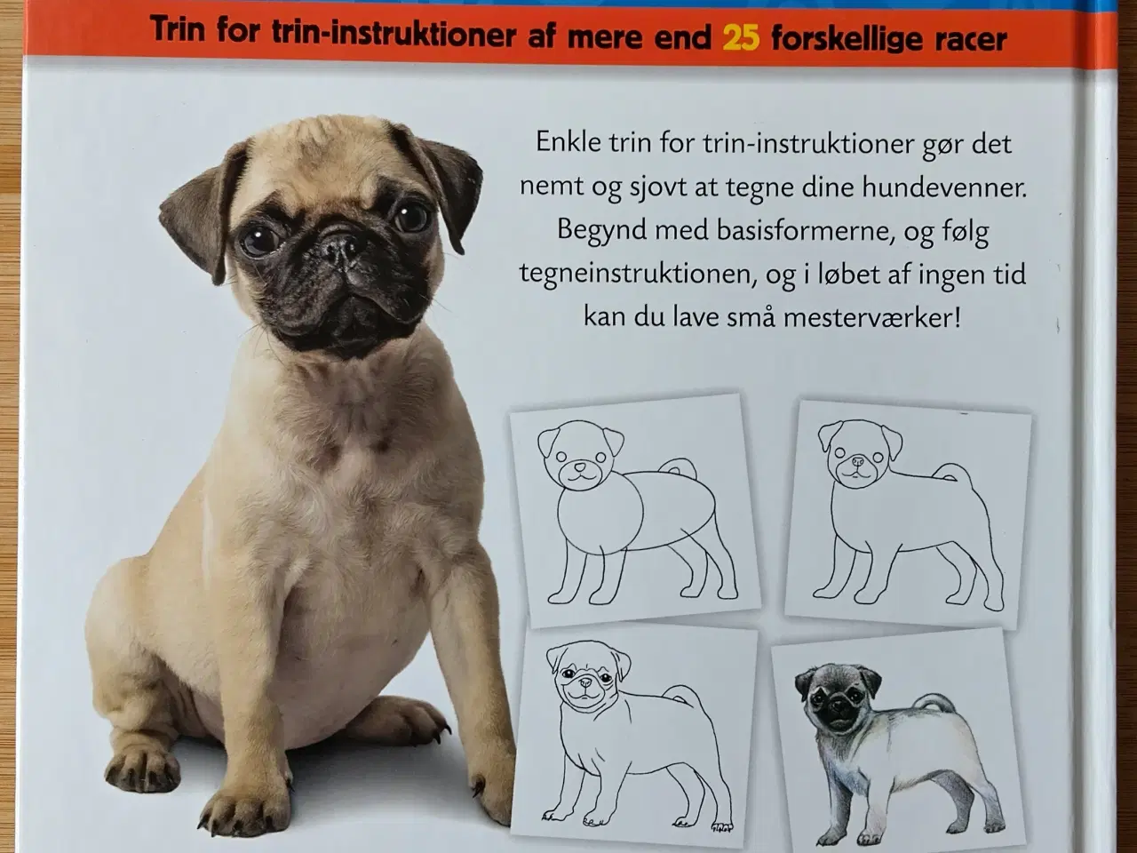 Billede 2 - Lær at tegne Hunde og Hvalpe