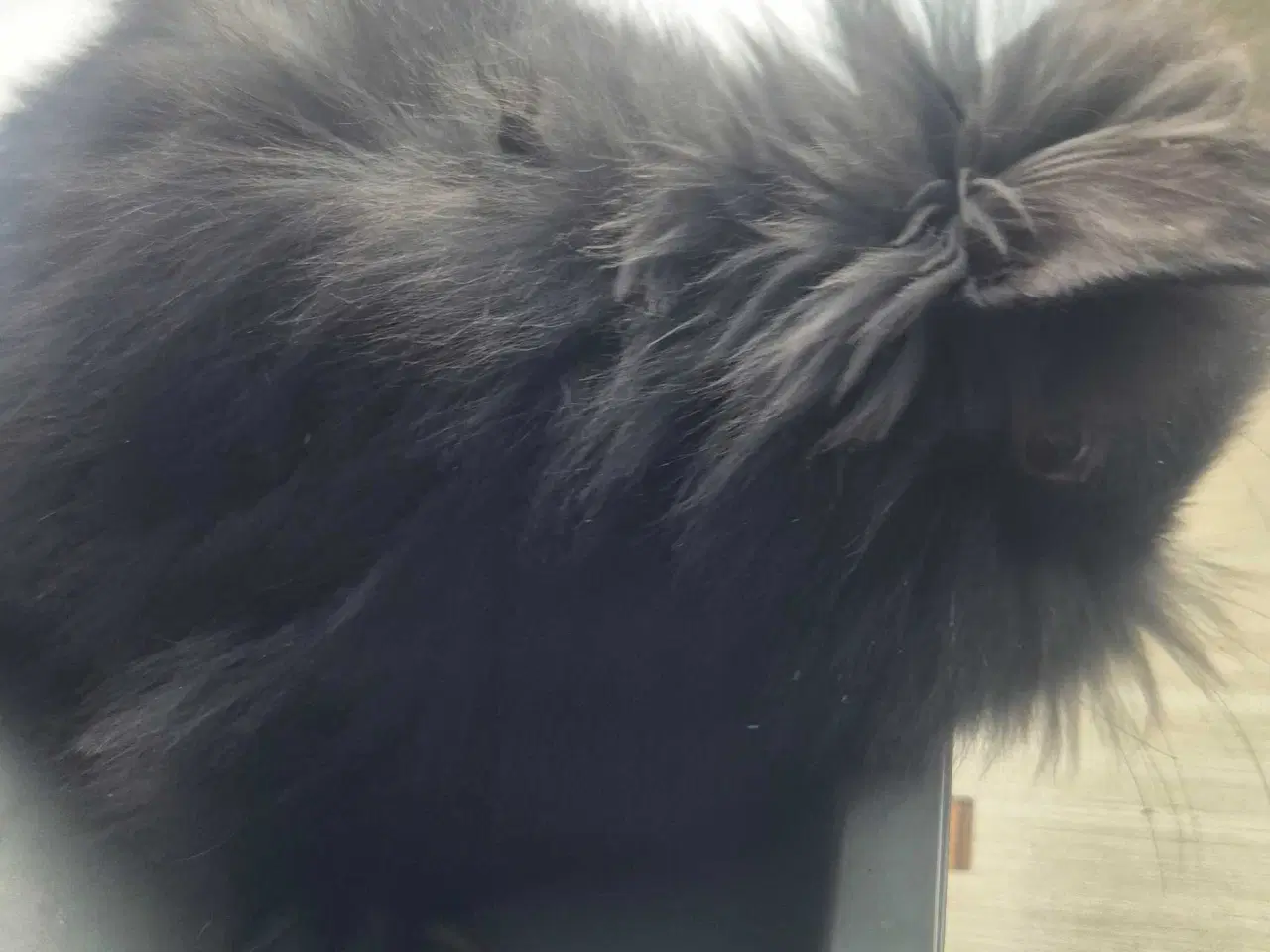 Billede 4 - 5 søde kaninunger til salg 