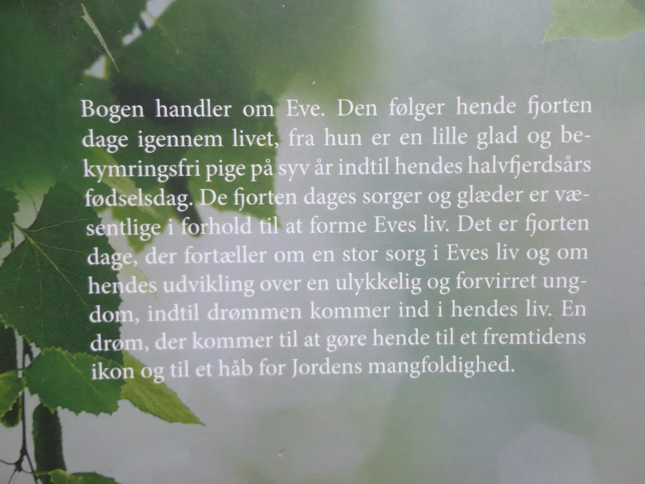 Billede 2 - Fjorten dage i Eves liv :