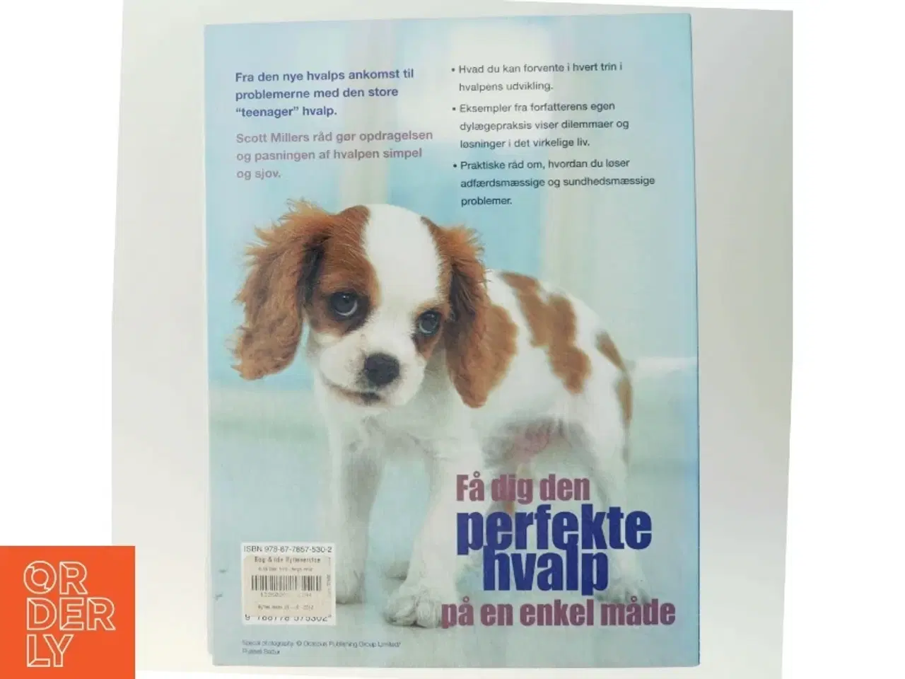 Billede 3 - Hvalpebogen af Scott Miller fra Atelier