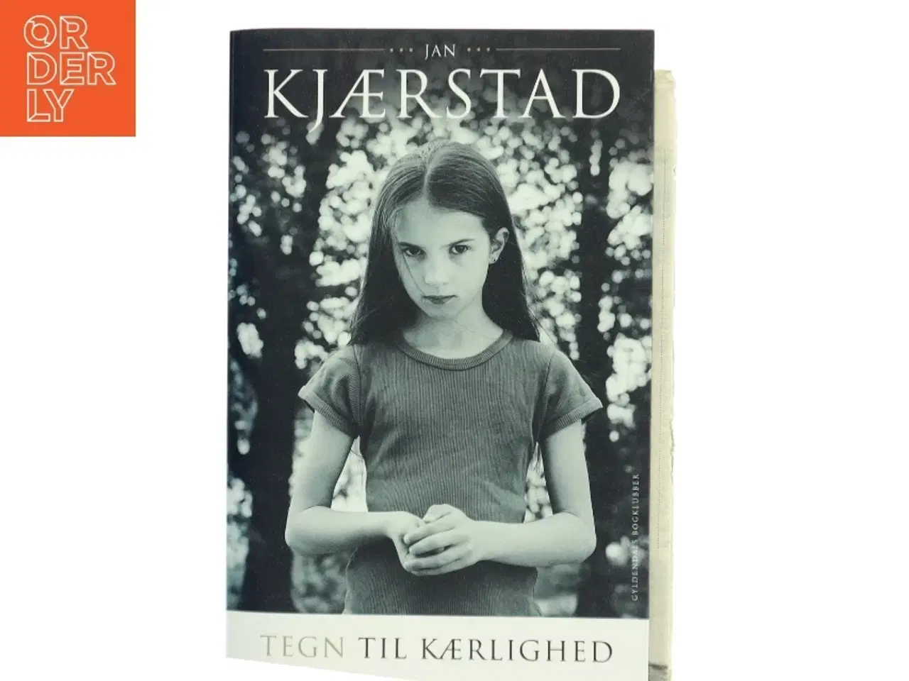 Billede 1 - Tegn til kærlighed : roman af Jan Kjærstad (Bog)