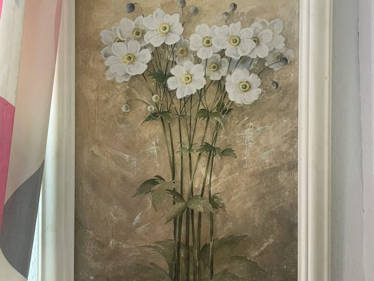 Billede 4 - Billeder 